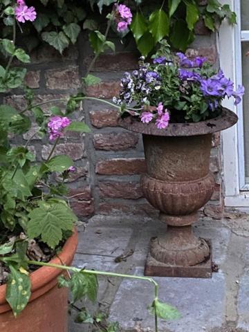 Holiday Elena Holiday home Slenaken